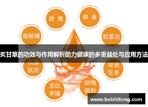 炙甘草的功效与作用解析助力健康的多重益处与应用方法